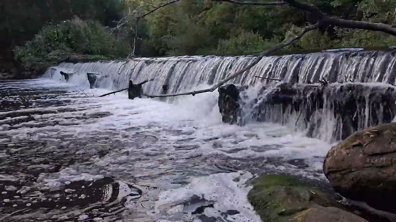 Pure Waterfall Sounds | 20 Minutes of Natural White Noise for Sleep & Relaxation