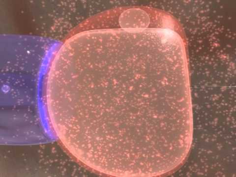 Claudio Manna-25