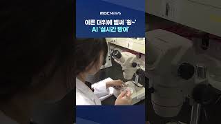 이른 더위에 벌써 '윙~'‥AI '실시간 방어' #Shorts (MBC뉴스)