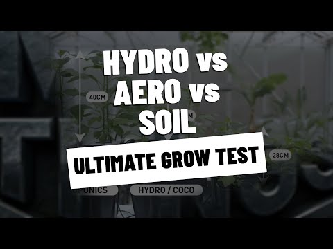 #40 - Hydroponics vs Aeroponics vs Soil Growing Systems