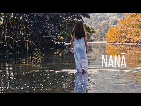 NANÃ - Rosa Amarela