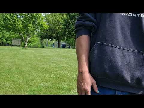 Reptilian disc golf iguana review
