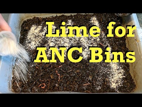 Lime & dryness tried (again) to reduce mites in ANC worm bins - vermicomposting