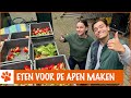 In de keuken bij de Stichting AAP | DierenpraatTV
