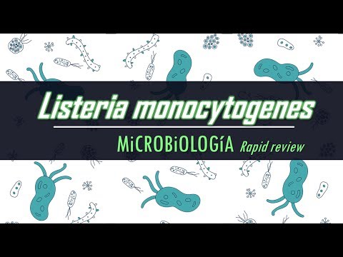 , title : 'Listeria monocytogenes. Revisión Rápida.'