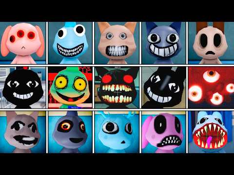 Appearance Anomalies – Complete Guide