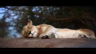South Africa Tourism Promo