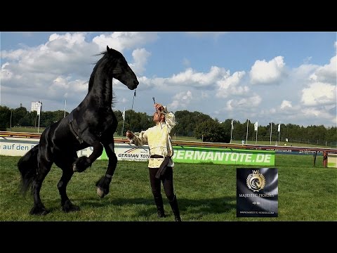 Bremer Pferdetage 2016 - Galopprennbahn Bremen