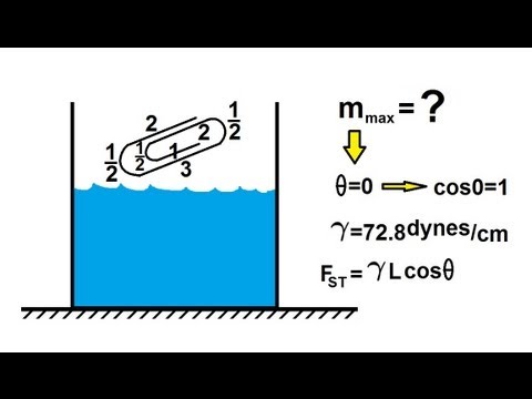 Physics 33 1 Surface Tension 1 of 12 What is Surface Tension