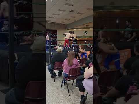 PWE - Pro Wrestling Element - Tag Team Warfare