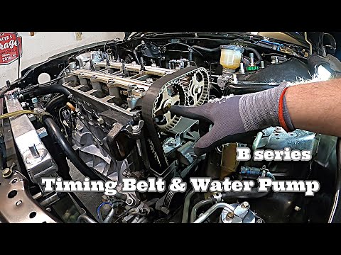 Timing Belt & Water Pump | '94 Integra GSR Head Build | PART 1