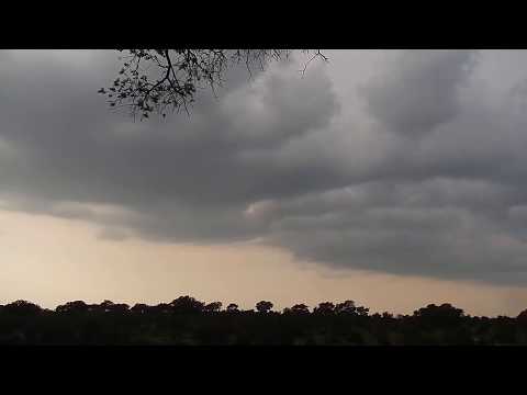 Djuma: Sights and sounds with storm going on-Pt:1.- 16:40 - 03/14/20
