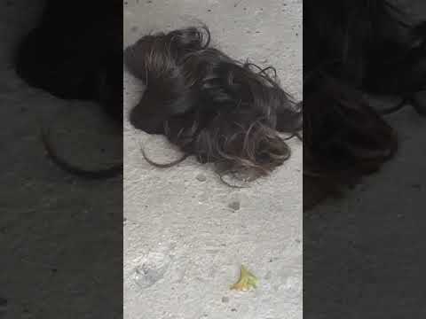 Santa cruz dos milagres pi,quarto das promessas na igreja.