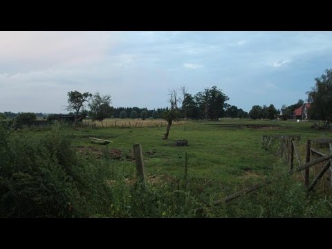 Interessantes Baugrundstück in der nähe von Parsau