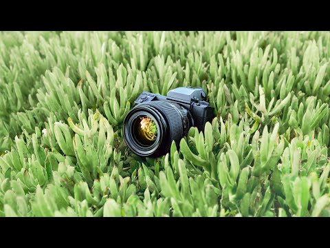 The Perfect camera for Landscape Photography? 📷