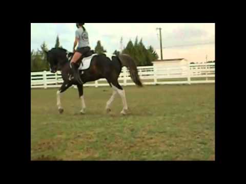 I will Praise you in this Storm RIP Sox