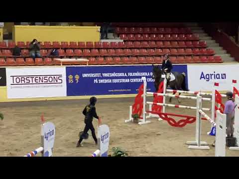 Diarado’s Rose ELiTH 1.40m Skåne Top 10 Flyinge, 21.02.2021