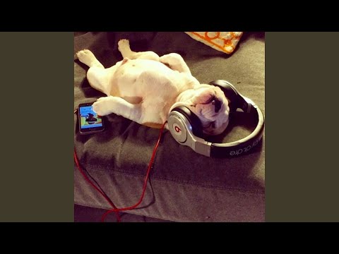 Viral (feat. AyoCaylo)