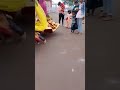 Maiya Janki Karila