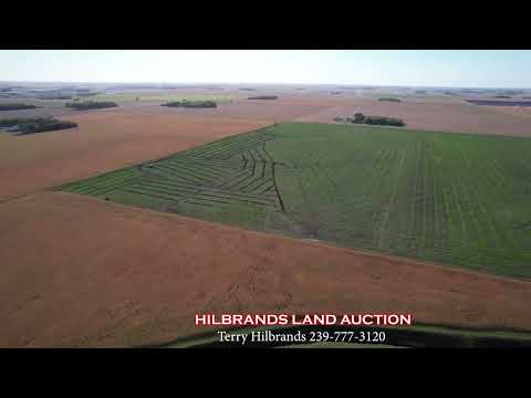 Hilbrands Auction