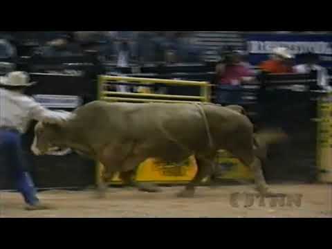 Ted Nuce vs. Shameless – 95 PBR-Finale (80,5 Punkte)