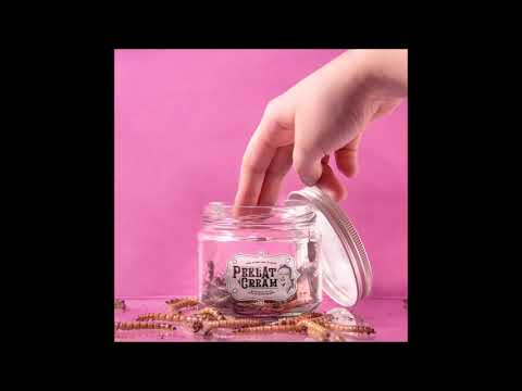 Annie and Ricky - Bita and the Botflies