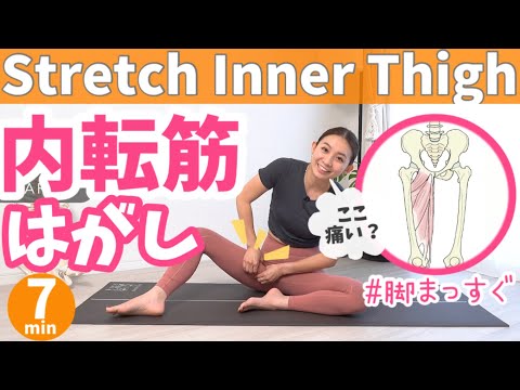 内転筋: エクササイズと解剖学