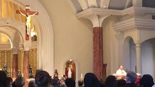 Fr. Mark Miley's Homily at Gifts for a King @ St. Pius X Church, Lafayette, LA