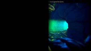 Little Orpheus - Gameplay Cut.