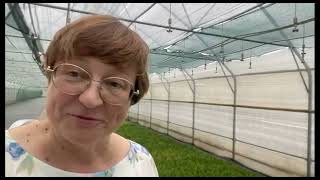 Реалити-шоу «Будни начинающего питомниковода» – Дела в питомнике в июне. Часть 25.