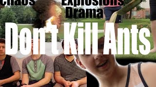 Don't Kill Ants