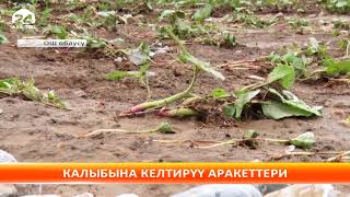 Араван районунда сел алып кеткен жерлерди калыбына келтирүү аракеттери жүргүзүлүүдө