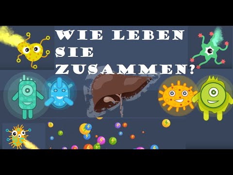 🤢Gute und schlechte Bakterien😇😈 Wie leben sie zusammen?