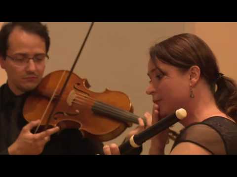 J.S.Bach - Triple concerto in A minor BWV 1044 Anastasia Antonova, harpsichord