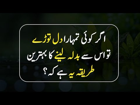 If someone breaks your heart, take revenge in one way | Deep & Wisdom Quotes | Afzal Quotes 