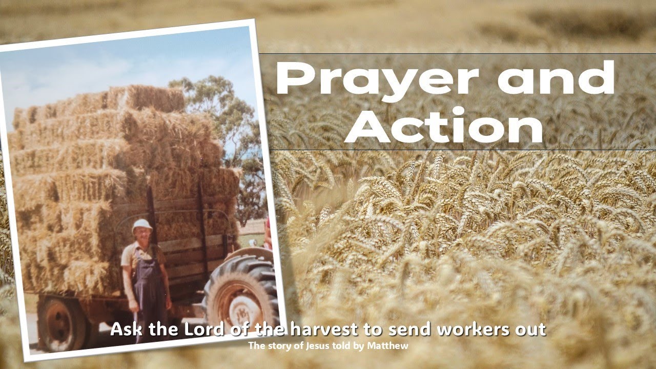 Action and Prayer - Matthew 9:35-10:16