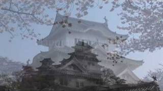preview picture of video 'Superb view of Japan 姫路城 himeji castle'