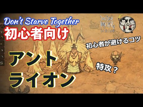 アントライオンの身体的洗練