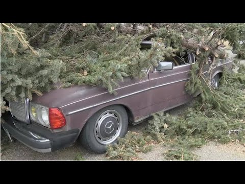 Great Falls picks up after major wind storm