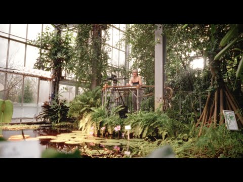 Nina Hepburn at Botanical Garden | Glass House (Melodic House DJ Set) 2024
