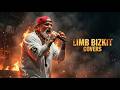 LIMP BIZKIT STYLE NU METAL COVERS Aggressive Sound Built For Energy Attitude And Hard Training