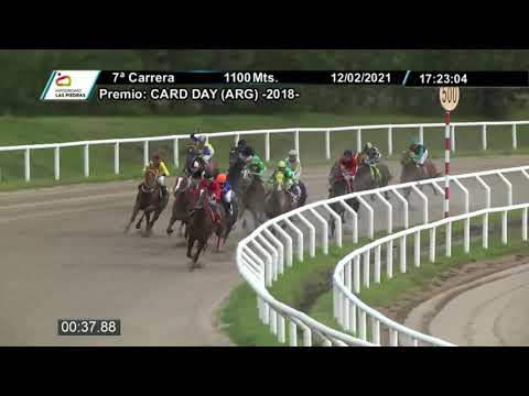 210212 c07 - FREE SUGAR - HIPODROMO LAS PIEDRAS