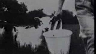 XTC - Love on a Farm Boy&#39;s Wages