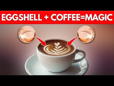 15 Surprising Eggshell Uses That Will Shock You