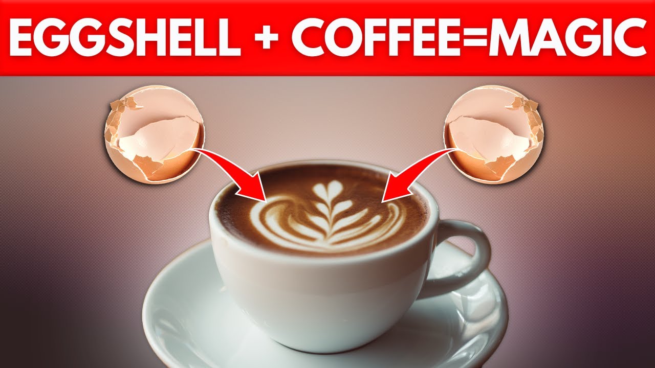 15 Surprising Eggshell Uses That Will Shock You