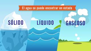El ciclo del agua
