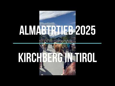 Almabtrieb Kirchberg in Tirol 2025