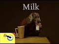 Wegman Dogs Milk