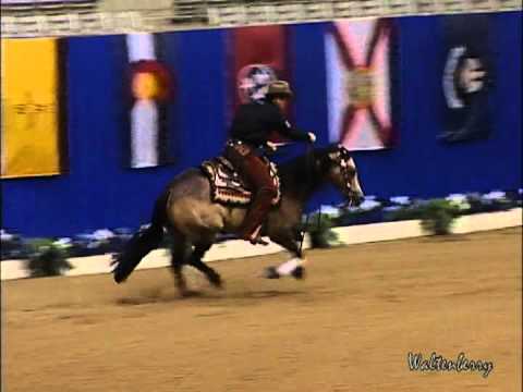 CFR CENTENARIO WIMPY at 2012 NRBC