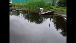 preview picture of video 'Пристань реки Цны в Моршанске'